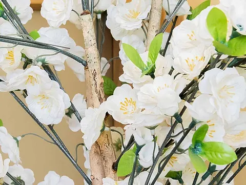 A close up of white flowers